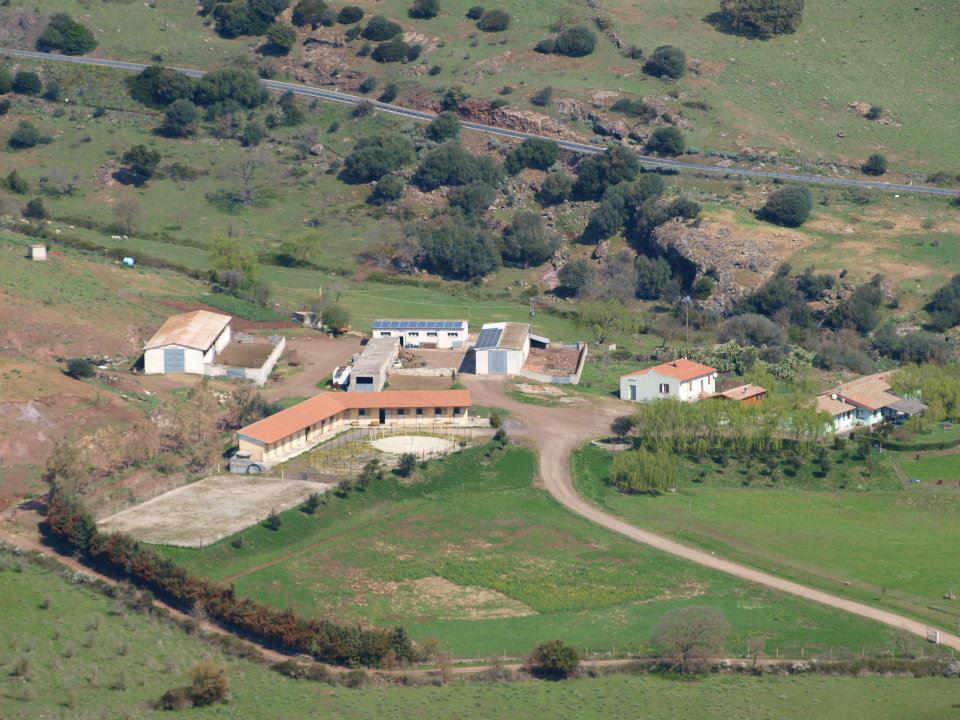 Villa Agriturismo Cugumia à Thiesi Extérieur photo